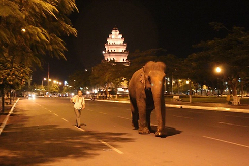 Screen Shot 2019-03-04 at 3.27.16 PM.png